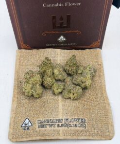 Buy Holy Water Flower Online